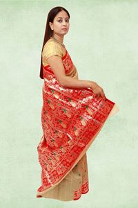 Picture of Bihar Khadi Raw Slik Saree in Golden color with Red border and pallu
