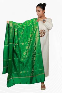 Picture of Bihar Khadi Raw Silk Dupatta in Green Color