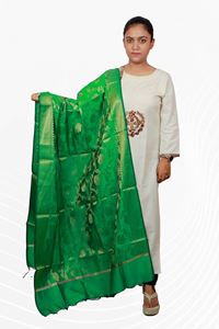 Picture of Bihar Khadi Raw Silk Dupatta in Green Color