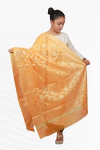 Picture of Bihar Khadi Raw Silk Dupatta in Yellow Color
