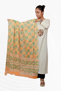 Picture of Bihar Khadi Cotton Dupatta in Orange and Green Color
