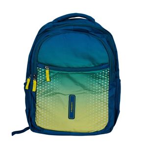 Picture of Made In Bihar Bag Pack in Blue and Yellow Color