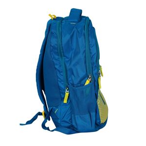 Picture of Made In Bihar Bag Pack in Blue and Yellow Color