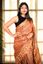 Picture of Brown Color Batik Cotton Khadi Saree